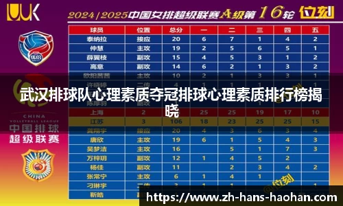 武汉排球队心理素质夺冠排球心理素质排行榜揭晓